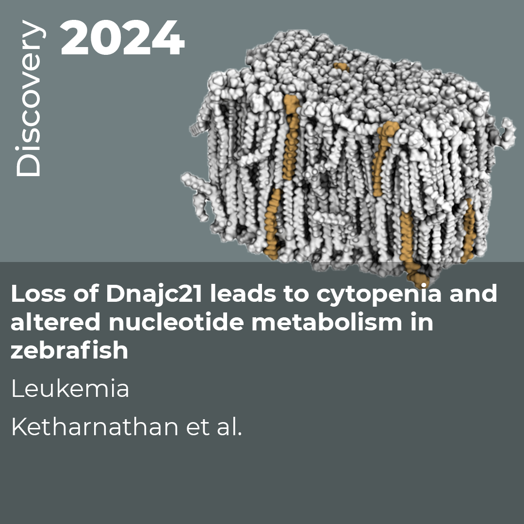 2024KetharnathanDiscovery